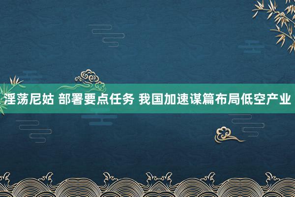 淫荡尼姑 部署要点任务 我国加速谋篇布局低空产业