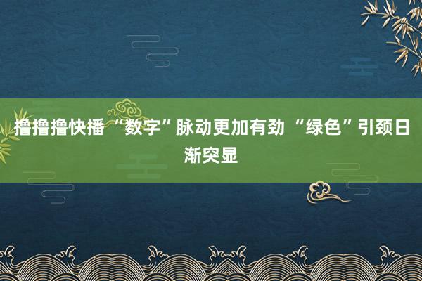 撸撸撸快播 “数字”脉动更加有劲 “绿色”引颈日渐突显