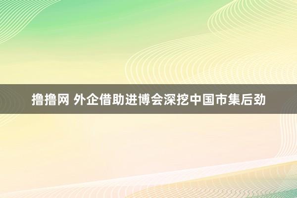 撸撸网 外企借助进博会深挖中国市集后劲