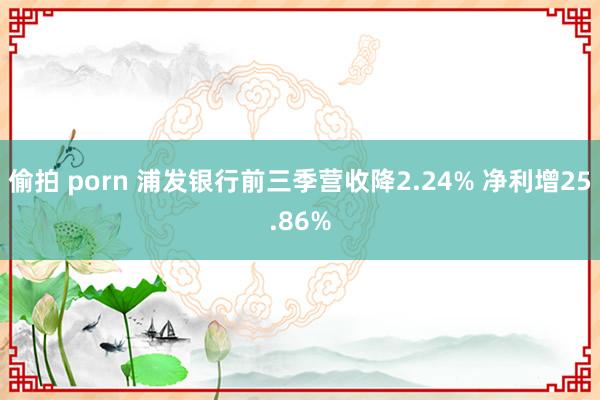 偷拍 porn 浦发银行前三季营收降2.24% 净利增25.86%