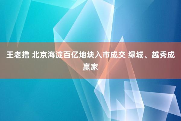 王老撸 北京海淀百亿地块入市成交 绿城、越秀成赢家