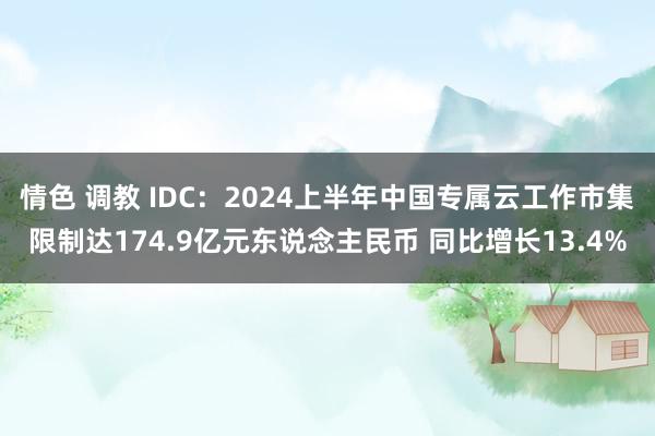 情色 调教 IDC：2024上半年中国专属云工作市集限制达174.9亿元东说念主民币 同比增长13.4%