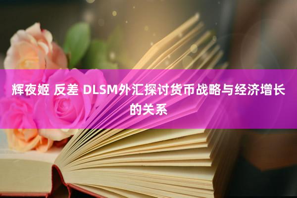 辉夜姬 反差 DLSM外汇探讨货币战略与经济增长的关系