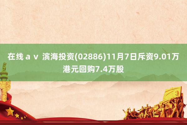 在线ａｖ 滨海投资(02886)11月7日斥资9.01万港元回购7.4万股