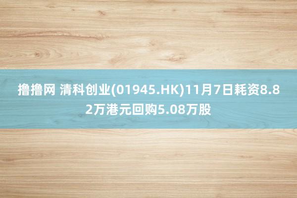 撸撸网 清科创业(01945.HK)11月7日耗资8.82万港元回购5.08万股