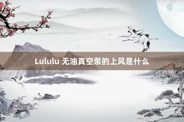 Lululu 无油真空泵的上风是什么