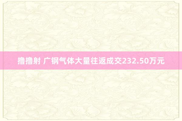 撸撸射 广钢气体大量往返成交232.50万元