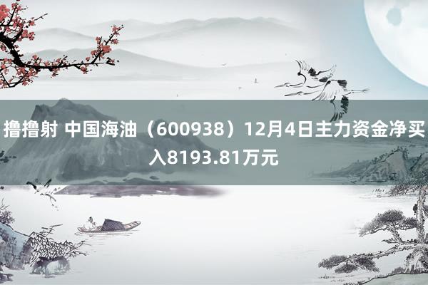 撸撸射 中国海油（600938）12月4日主力资金净买入8193.81万元