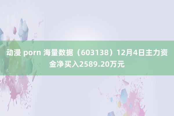 动漫 porn 海量数据（603138）12月4日主力资金净买入2589.20万元