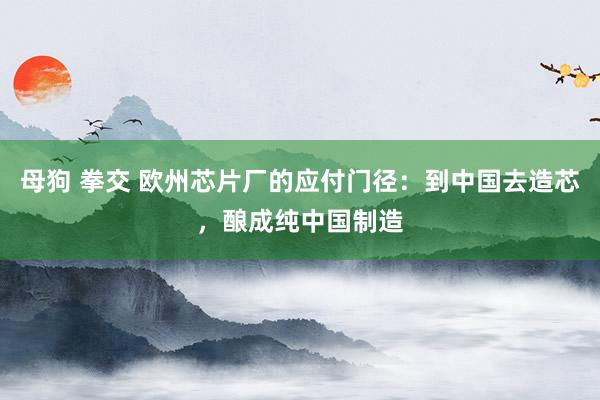 母狗 拳交 欧州芯片厂的应付门径：到中国去造芯，酿成纯中国制造