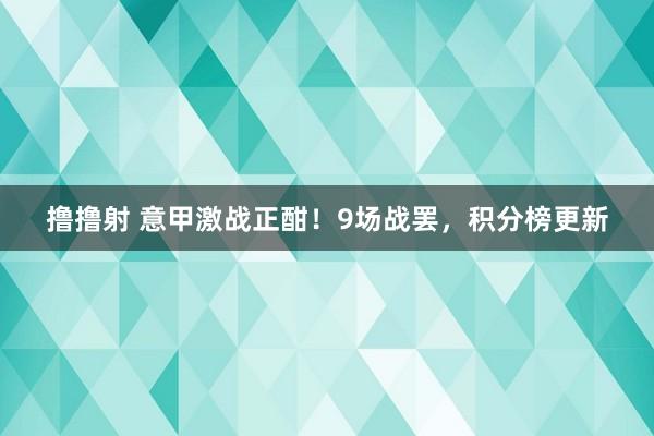 撸撸射 意甲激战正酣！9场战罢，积分榜更新