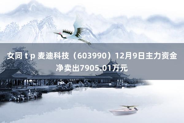 女同 t p 麦迪科技（603990）12月9日主力资金净卖出7905.01万元