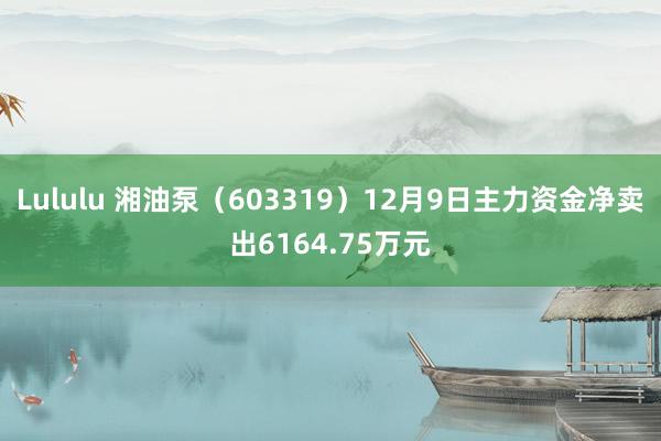 Lululu 湘油泵（603319）12月9日主力资金净卖出6164.75万元