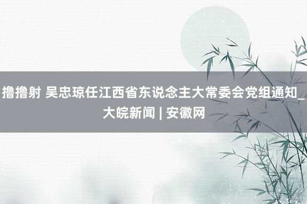 撸撸射 吴忠琼任江西省东说念主大常委会党组通知_大皖新闻 | 安徽网