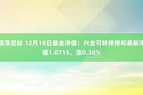 淫荡尼姑 12月18日基金净值：兴全可转债搀和最新净值1.0715，涨0.38%