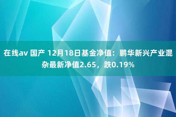 在线av 国产 12月18日基金净值：鹏华新兴产业混杂最新净值2.65，跌0.19%