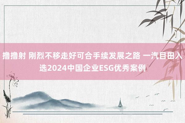 撸撸射 刚烈不移走好可合手续发展之路 一汽目田入选2024中国企业ESG优秀案例