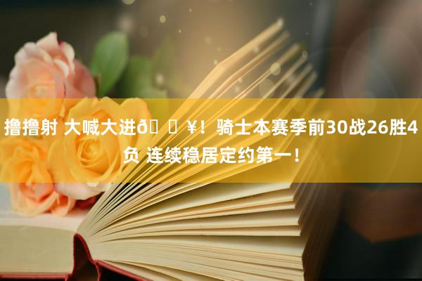 撸撸射 大喊大进🔥！骑士本赛季前30战26胜4负 连续稳居定约第一！