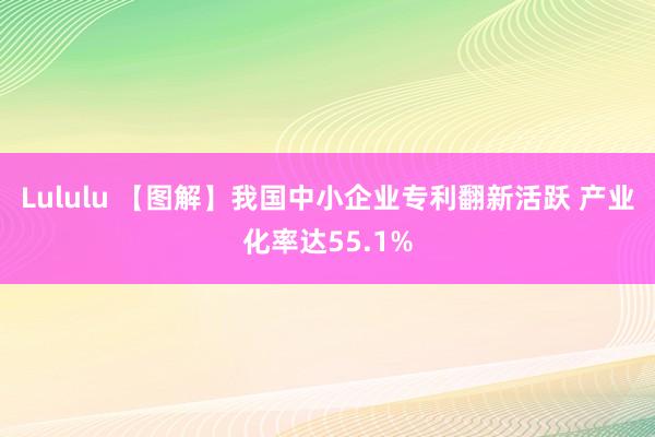 Lululu 【图解】我国中小企业专利翻新活跃 产业化率达55.1%