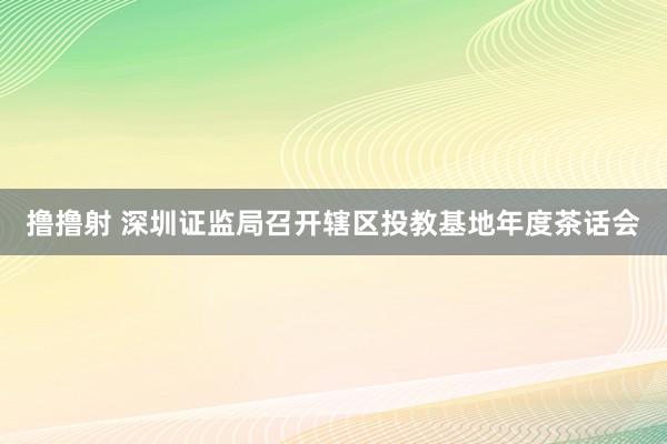 撸撸射 深圳证监局召开辖区投教基地年度茶话会