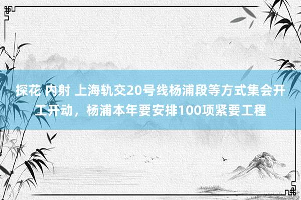 探花 内射 上海轨交20号线杨浦段等方式集会开工开动，杨浦本年要安排100项紧要工程