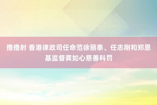 撸撸射 香港律政司任命范徐丽泰、任志刚和郑恩基监督龚如心慈善科罚