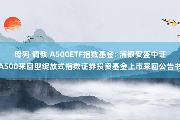 母狗 调教 A500ETF指数基金: 浦银安盛中证A500来回型绽放式指数证券投资基金上市来回公告书