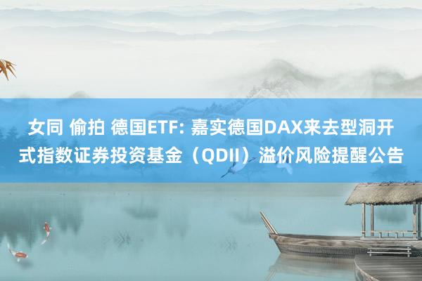 女同 偷拍 德国ETF: 嘉实德国DAX来去型洞开式指数证券投资基金（QDII）溢价风险提醒公告