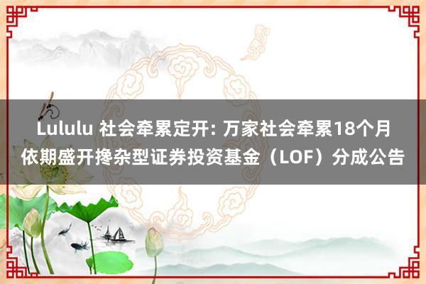 Lululu 社会牵累定开: 万家社会牵累18个月依期盛开搀杂型证券投资基金（LOF）分成公告