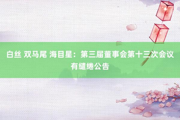 白丝 双马尾 海目星：第三届董事会第十三次会议有缱绻公告