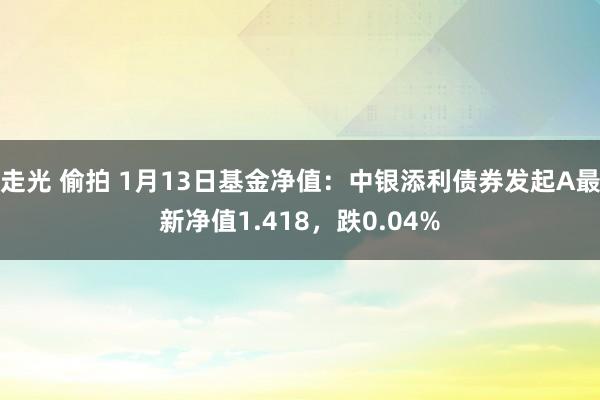 走光 偷拍 1月13日基金净值：中银添利债券发起A最新净值1.418，跌0.04%