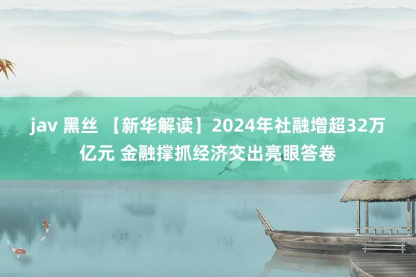 jav 黑丝 【新华解读】2024年社融增超32万亿元 金融撑抓经济交出亮眼答卷