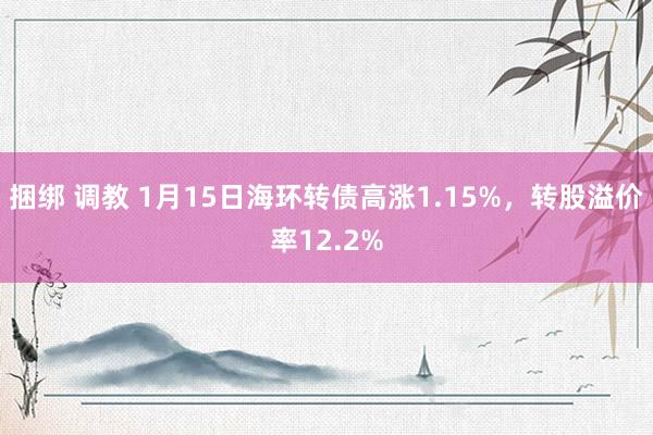 捆绑 调教 1月15日海环转债高涨1.15%，转股溢价率12.2%