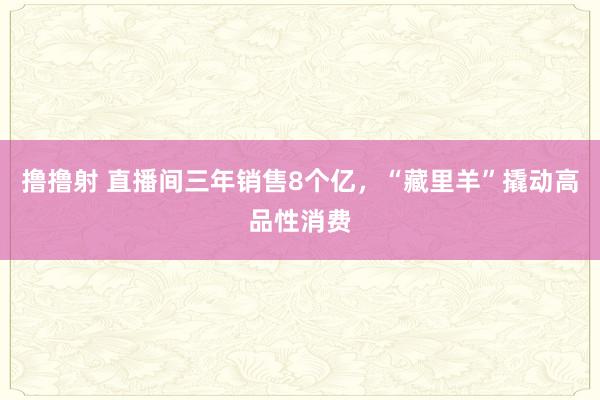 撸撸射 直播间三年销售8个亿，“藏里羊”撬动高品性消费