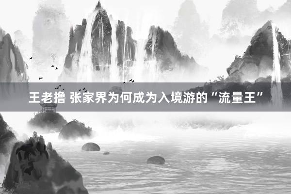王老撸 张家界为何成为入境游的“流量王”
