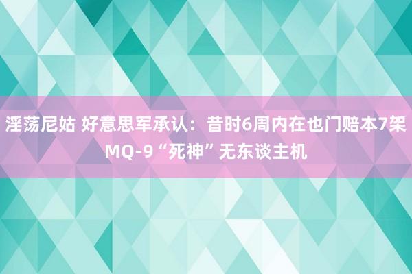 淫荡尼姑 好意思军承认：昔时6周内在也门赔本7架MQ-9“死神”无东谈主机